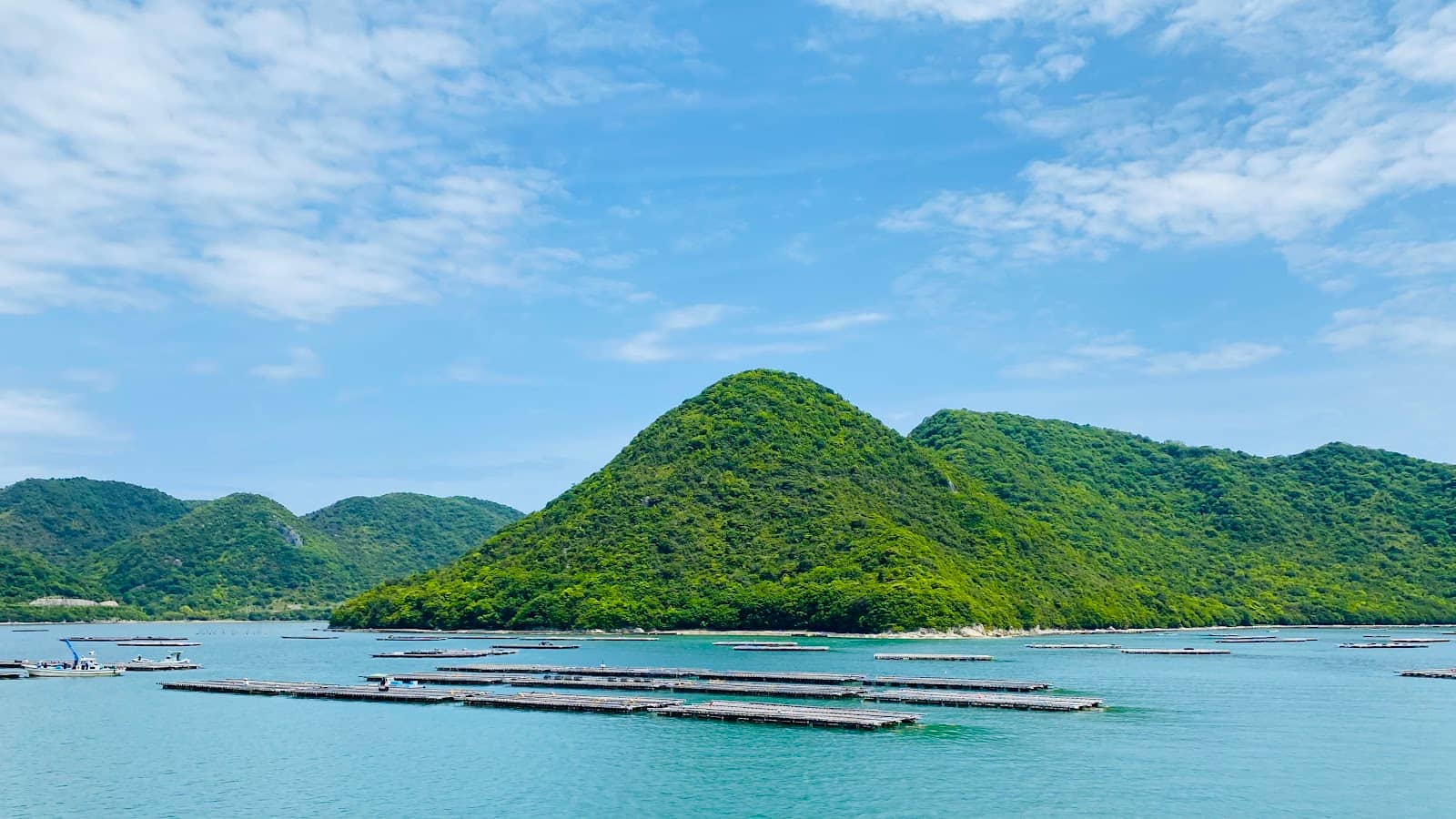 Kakuijima Wildlife