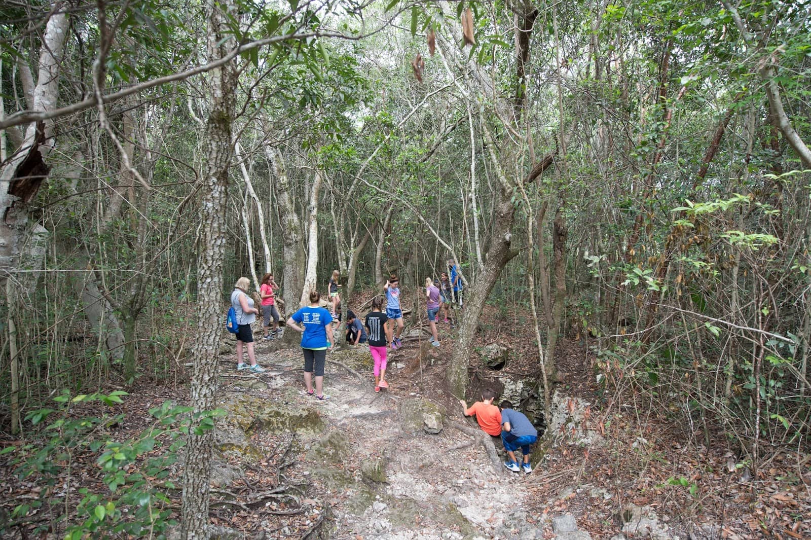 Summer Camp Adventures