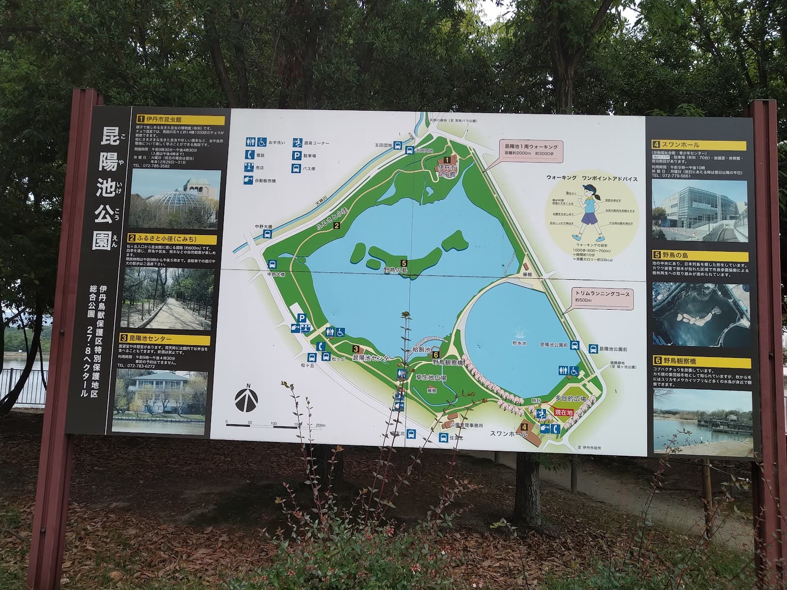 Koyaike Park - Image 1