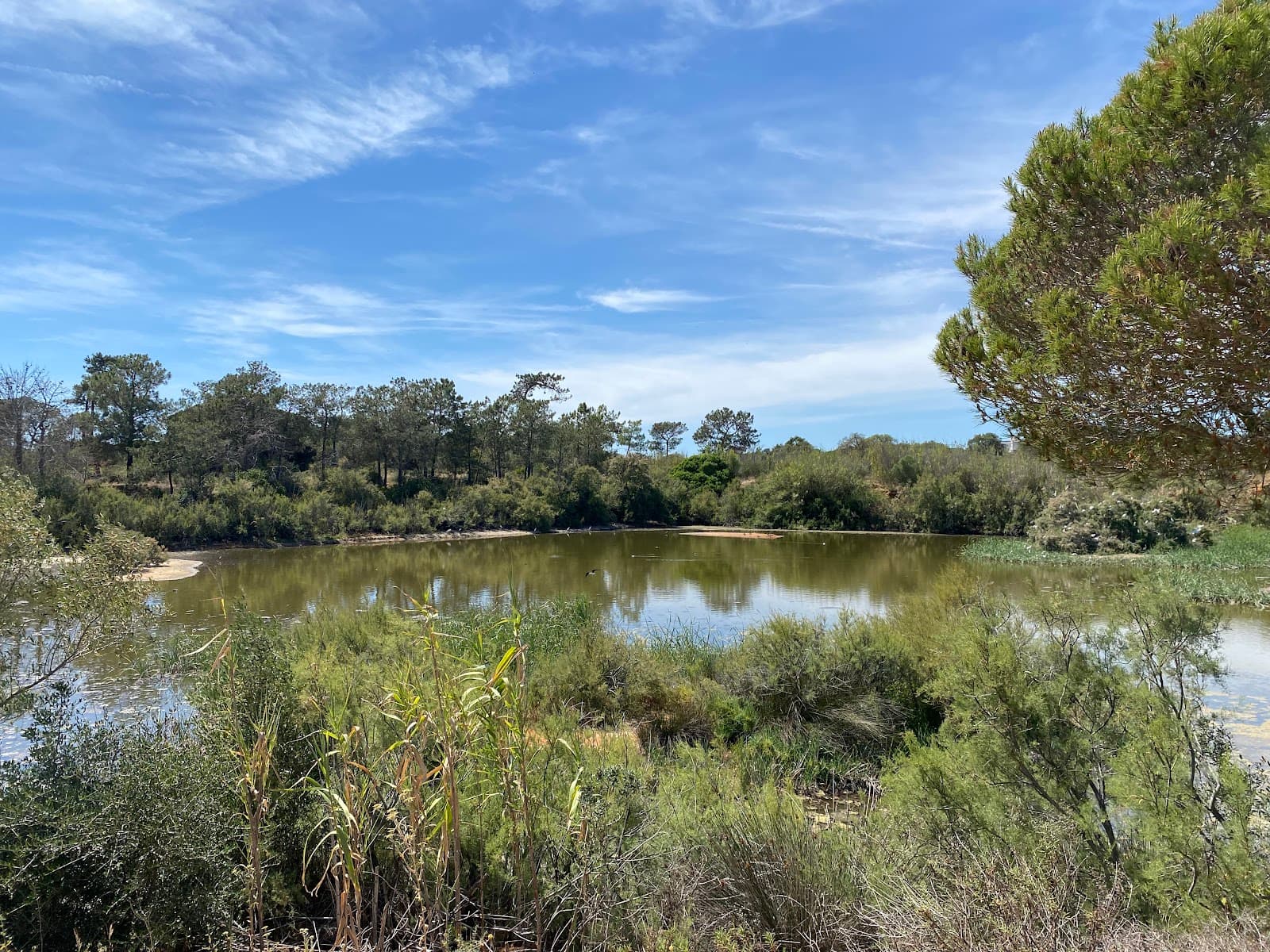 Quinta de Marim Ria Formosa Visitor Centre - Image 1