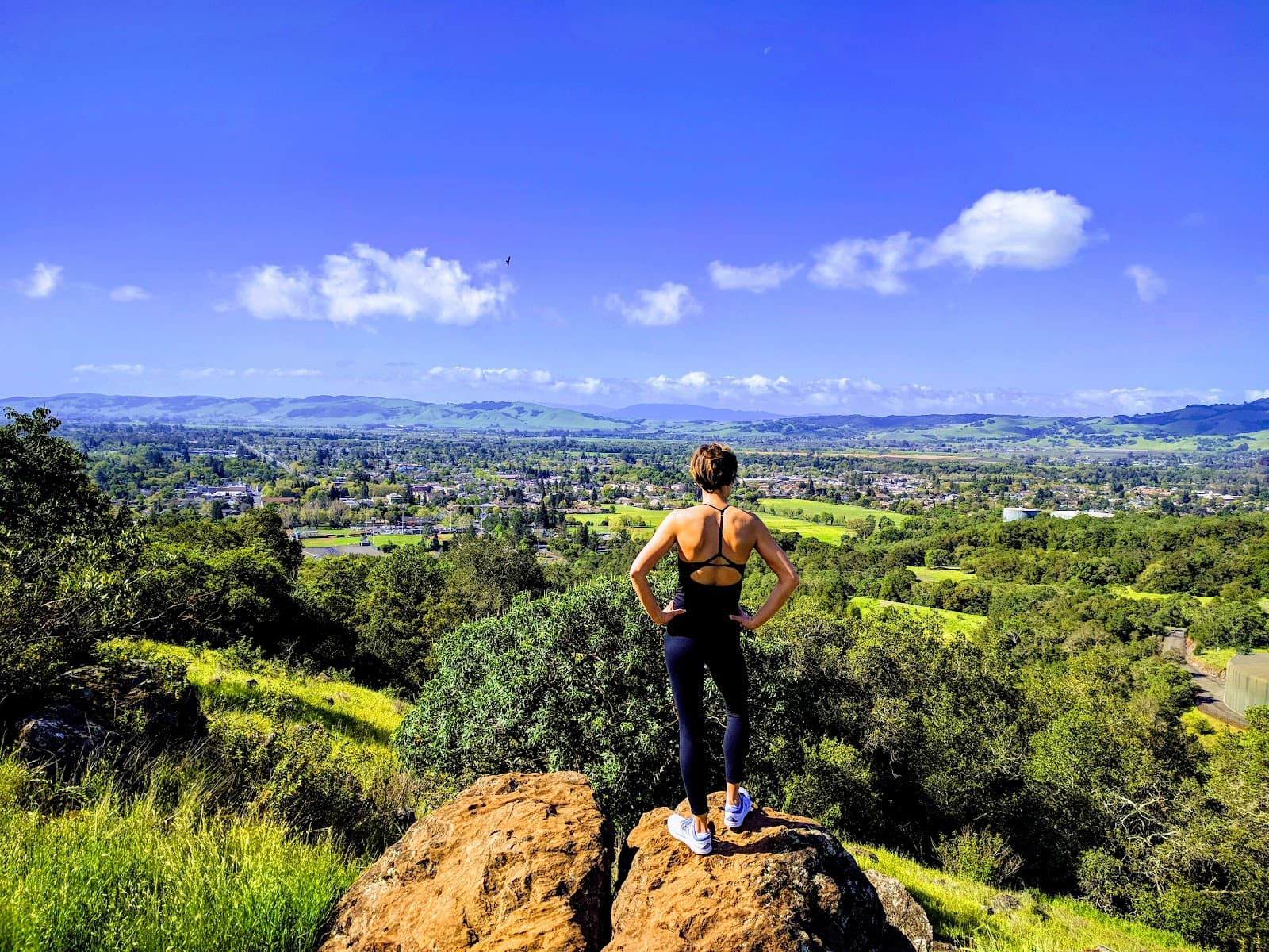 Montini Open Space Preserve - Image 1