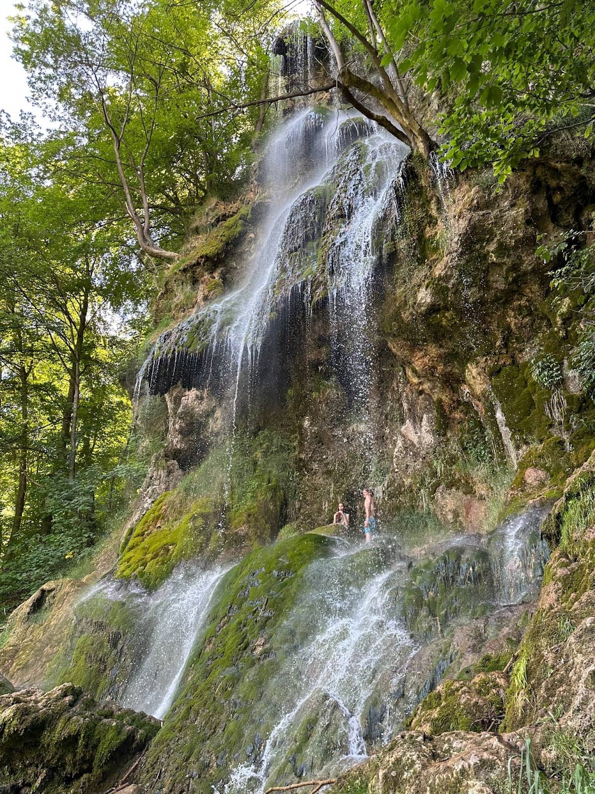 Vertical photo