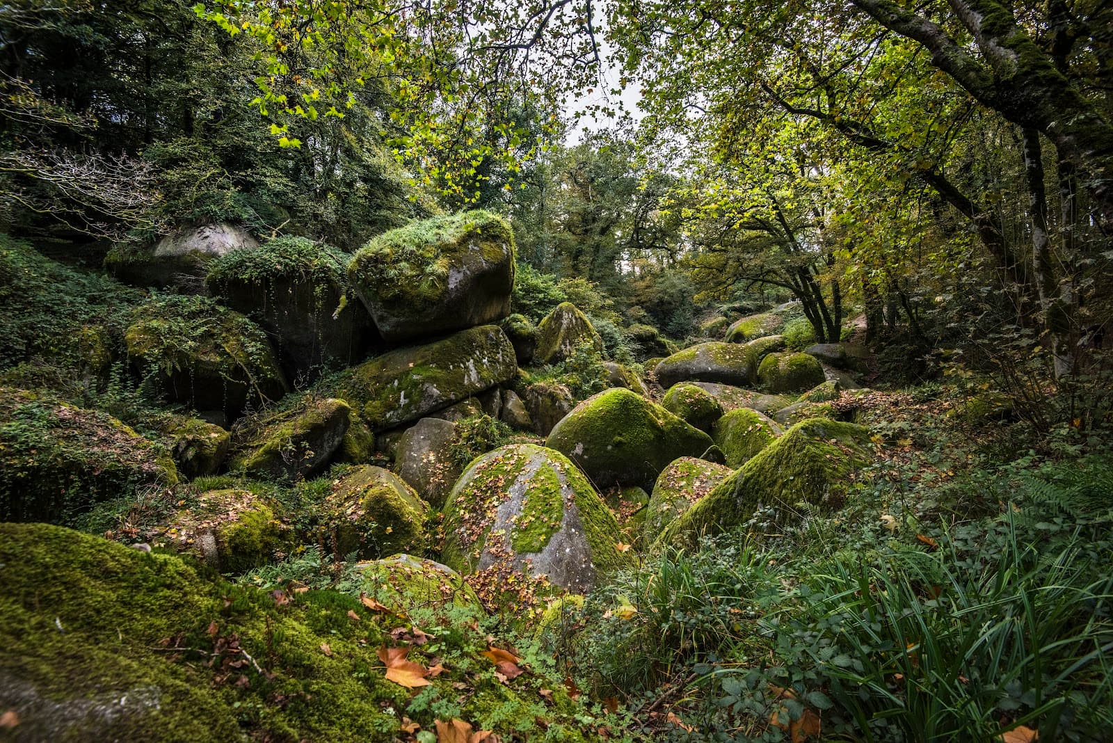 Chaos of Rocks (Le Chaos de Huelgoat) - Image 1