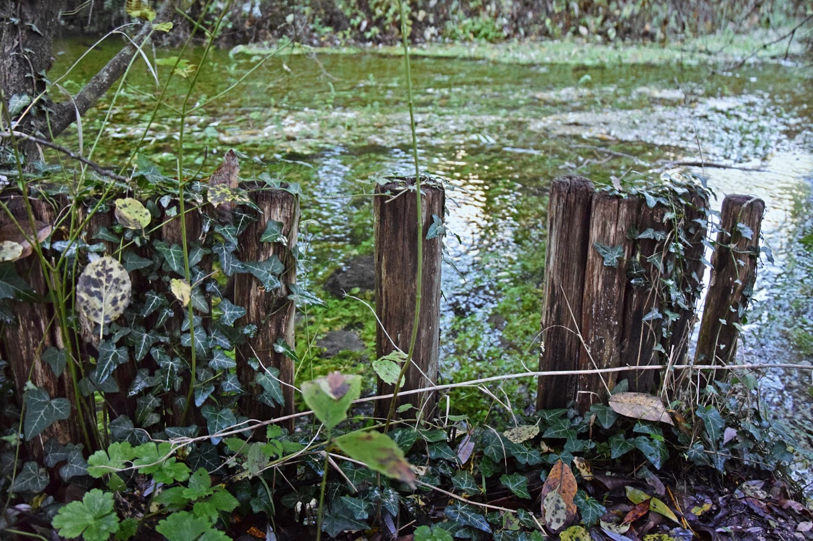 Riserva Gole del Sagittario - Image 1