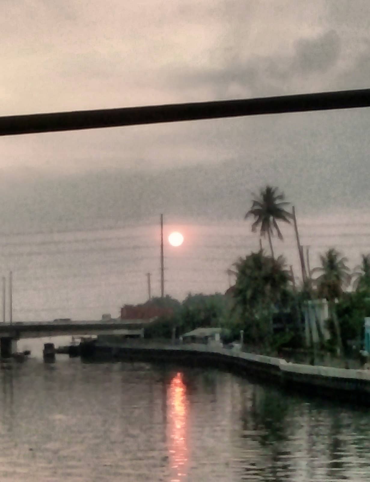 Regional Culinary Delights