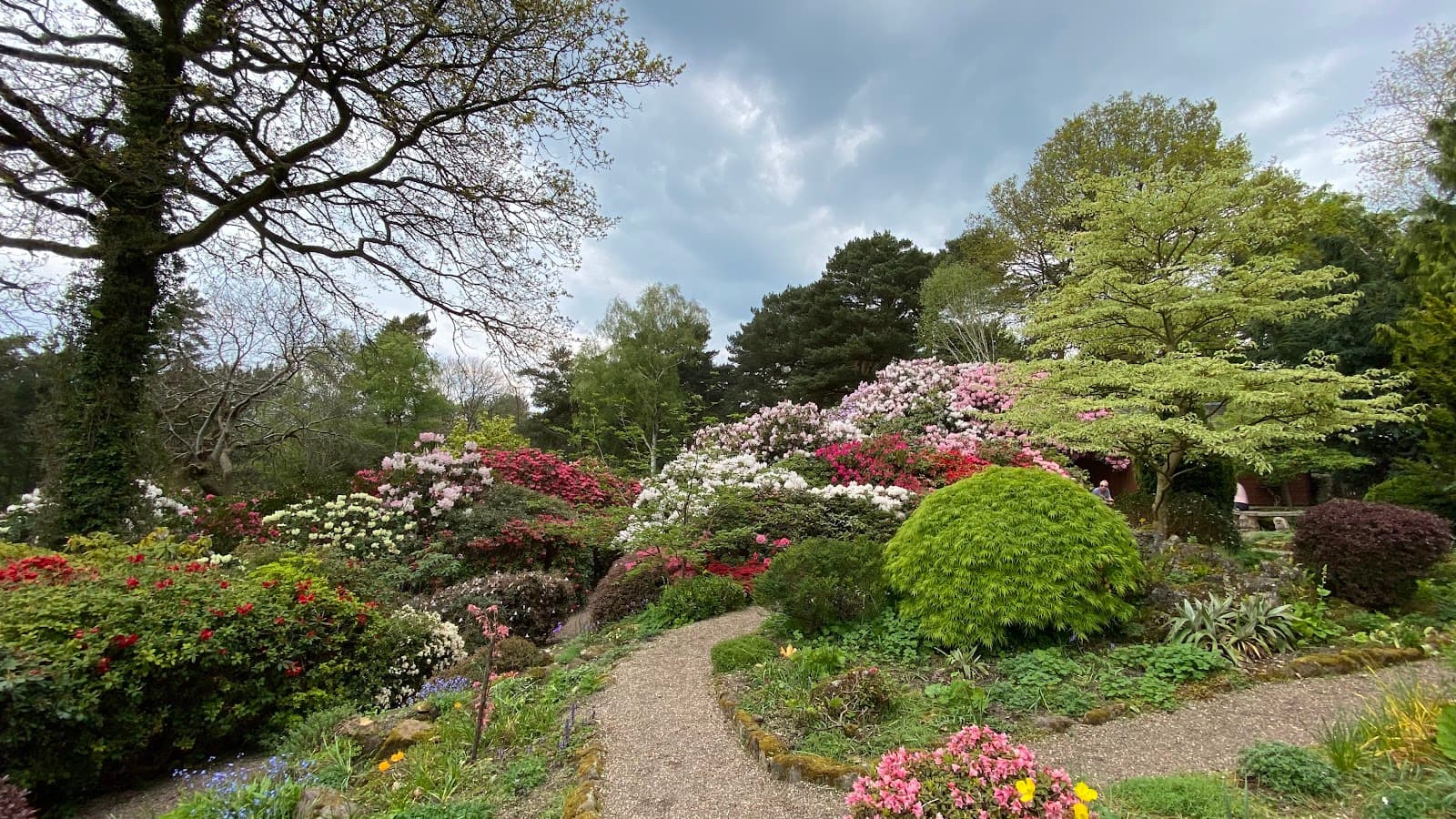 Lea Gardens - Image 1