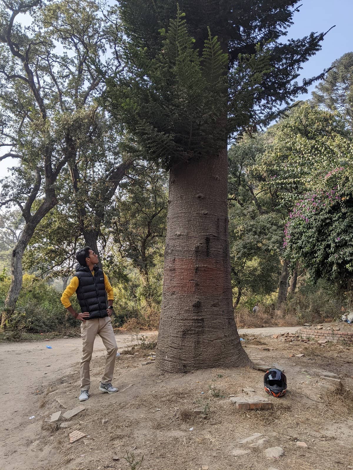 Vertical photo