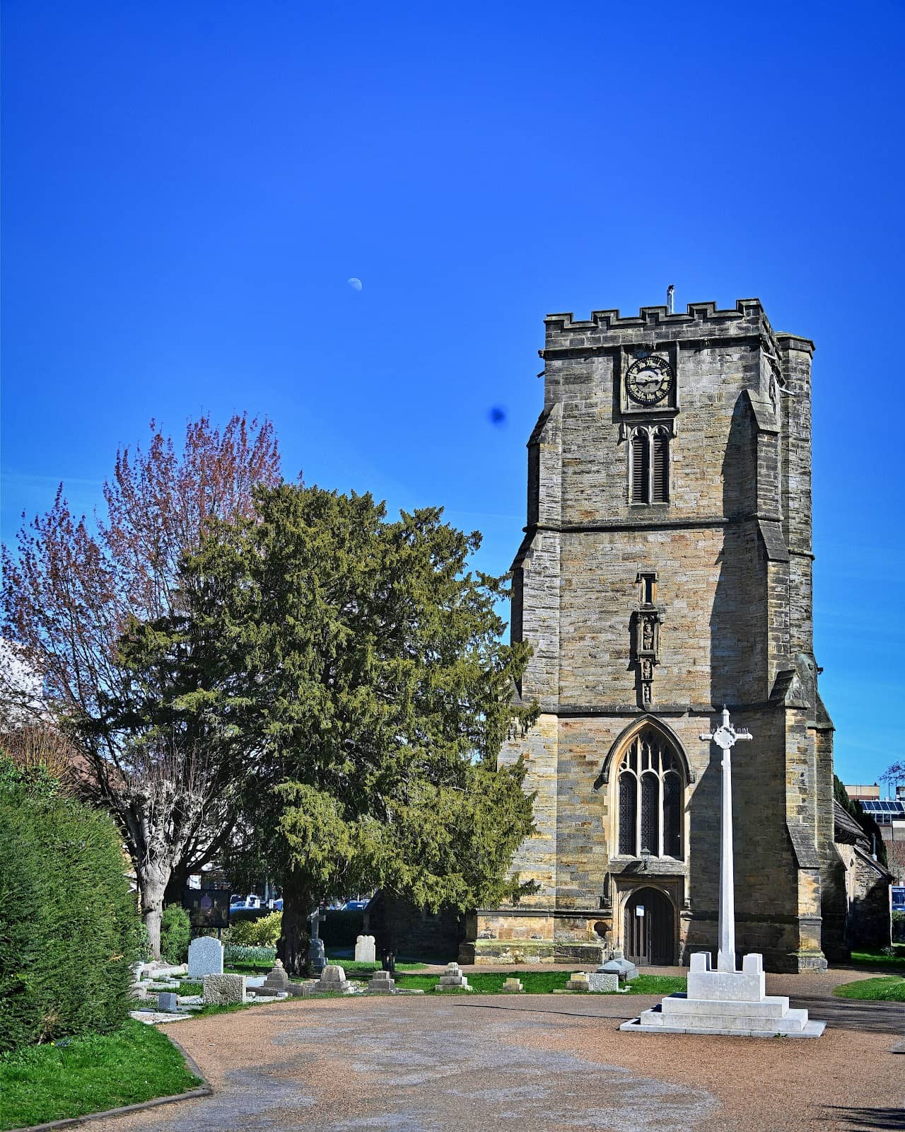 Vertical photo