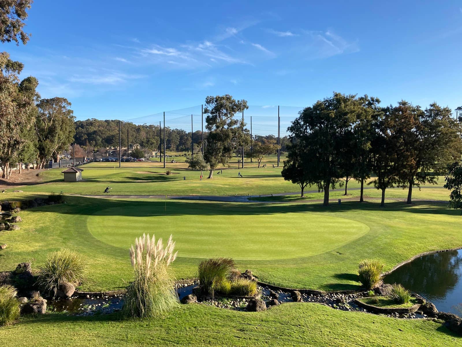 Well-Maintained Greens