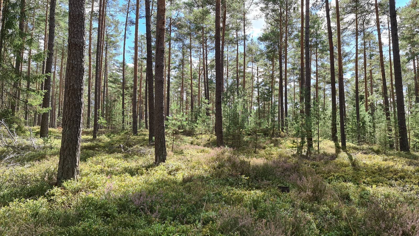 Hiking & Biking Trails
