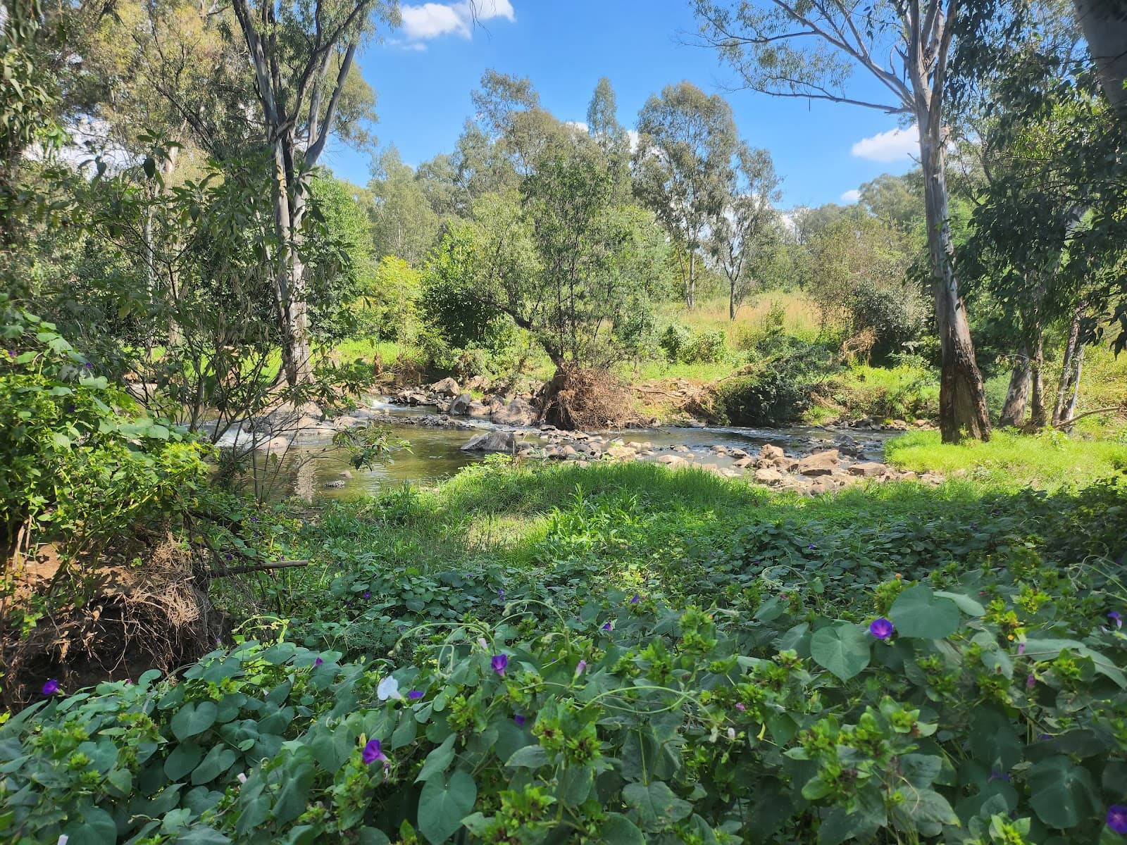 Tarokotrailpark - Image 1
