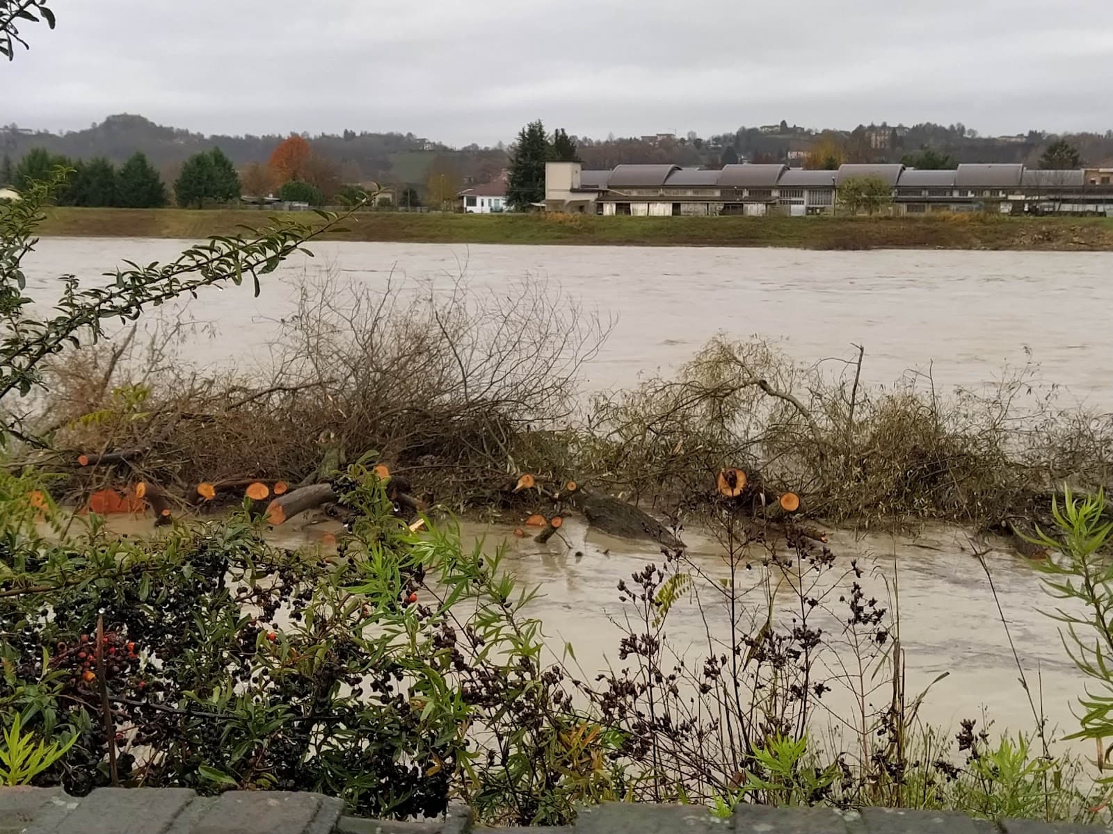 Lungo Tanaro Park - Image 1