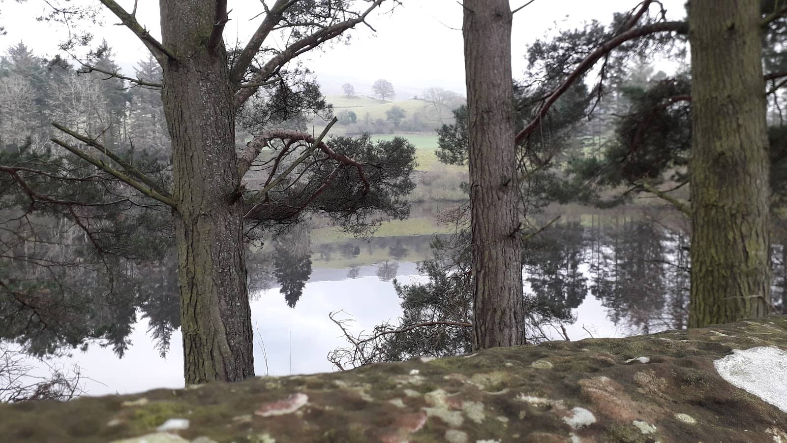 Expansive Reservoir Views