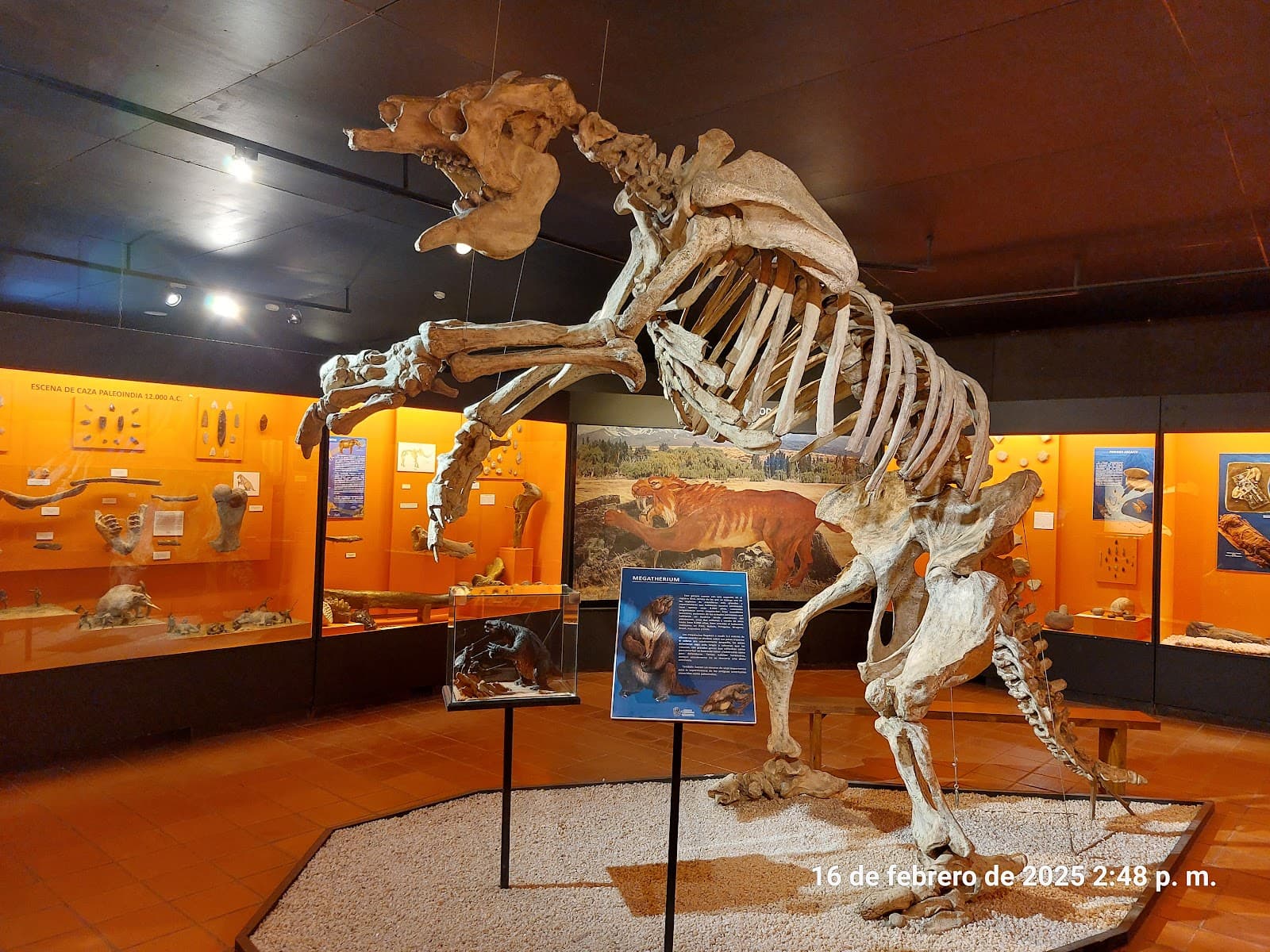Colchagua Museum (Santa Cruz) - Image 1