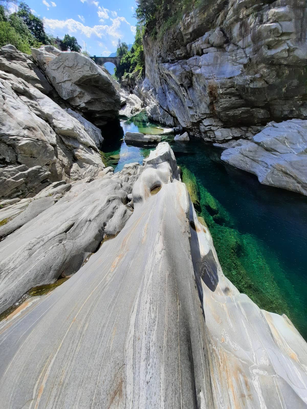 Vertical photo