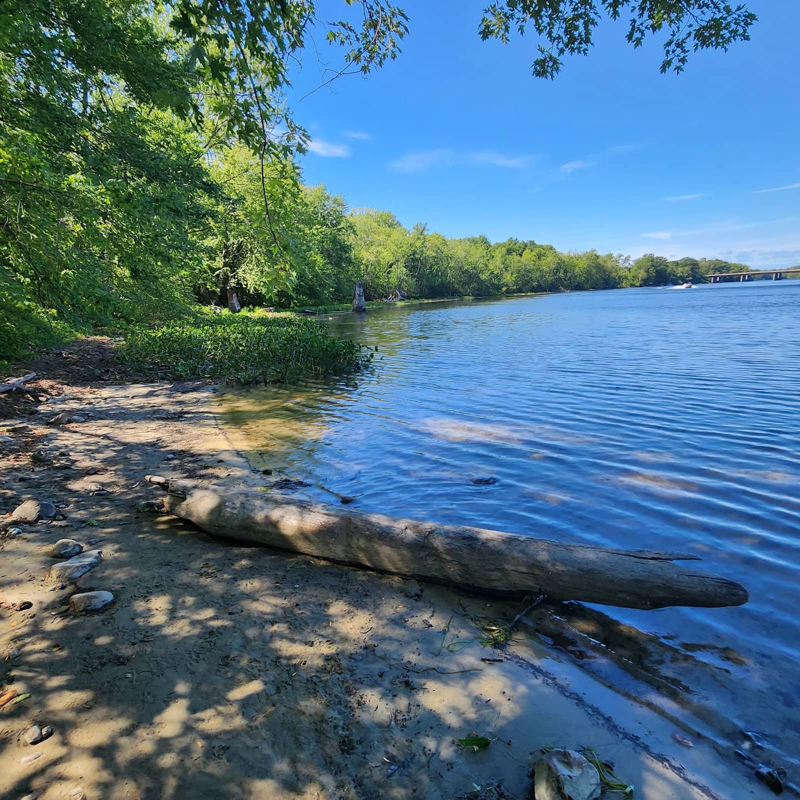 Saco River Beach
