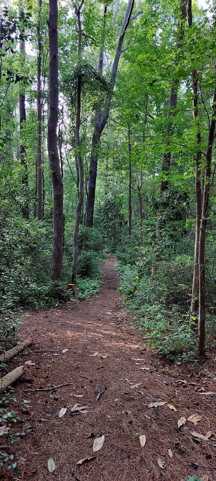 Bluethenthal Wildflower Preserve - Image 1