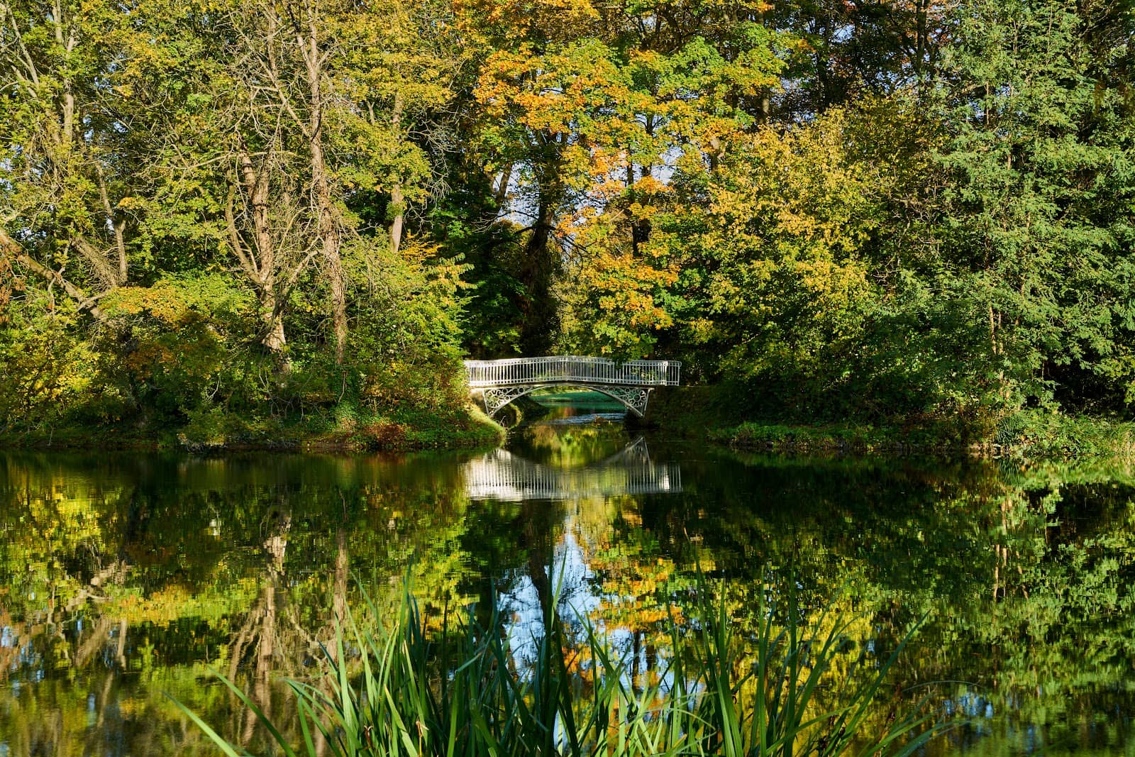 Park Ponds and Bridges