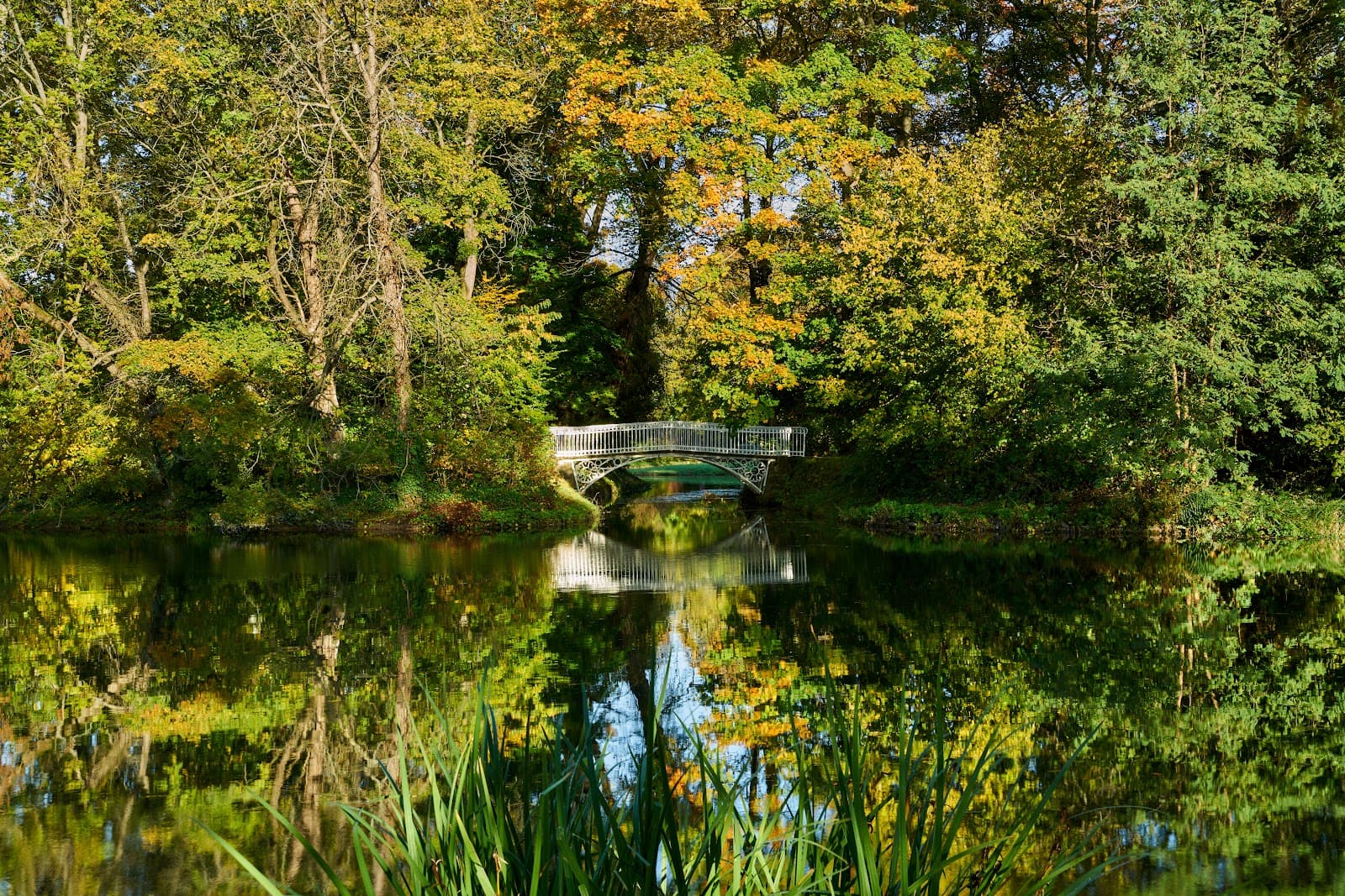 Herrnsheim Park - Image 1