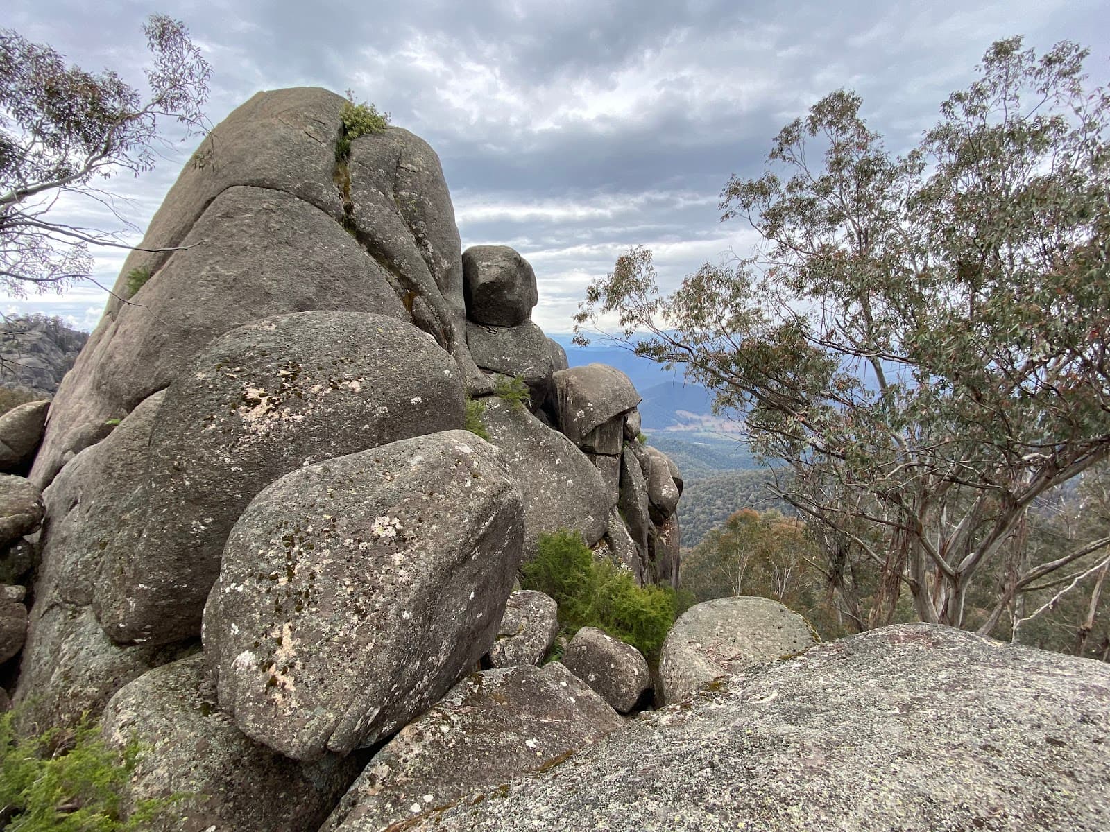 Chalwell Galleries (Mount Buffalo) - Image 1