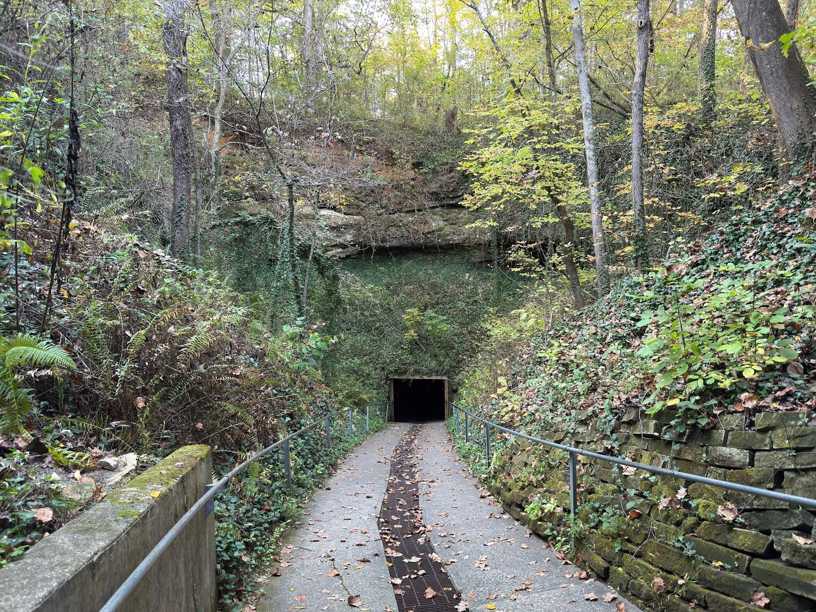 Bluespring Caverns - Image 1