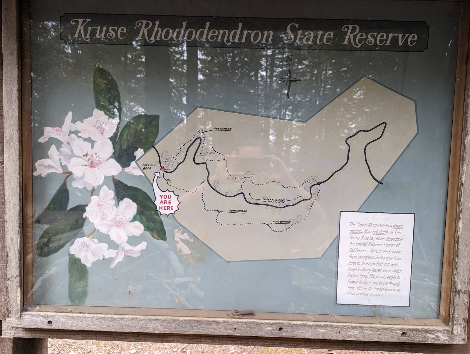 Diverse Flora and Fauna