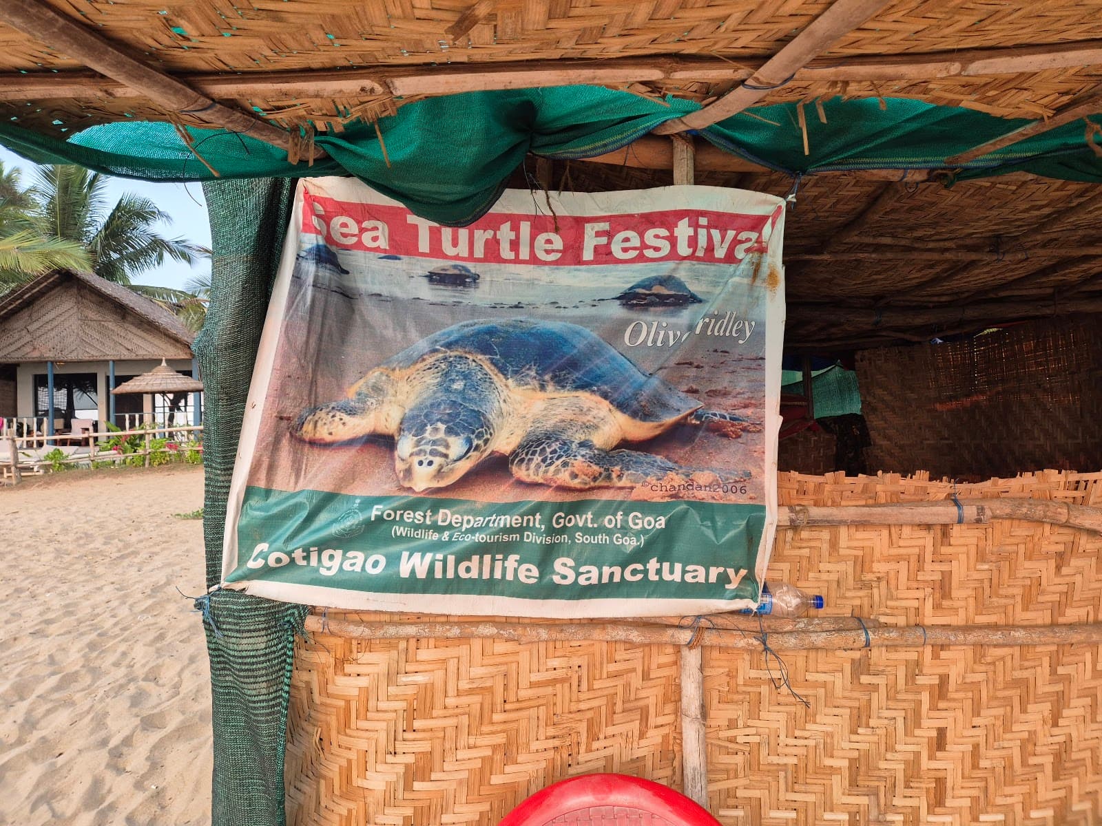 Turtle Center Agonda Goa - Image 1