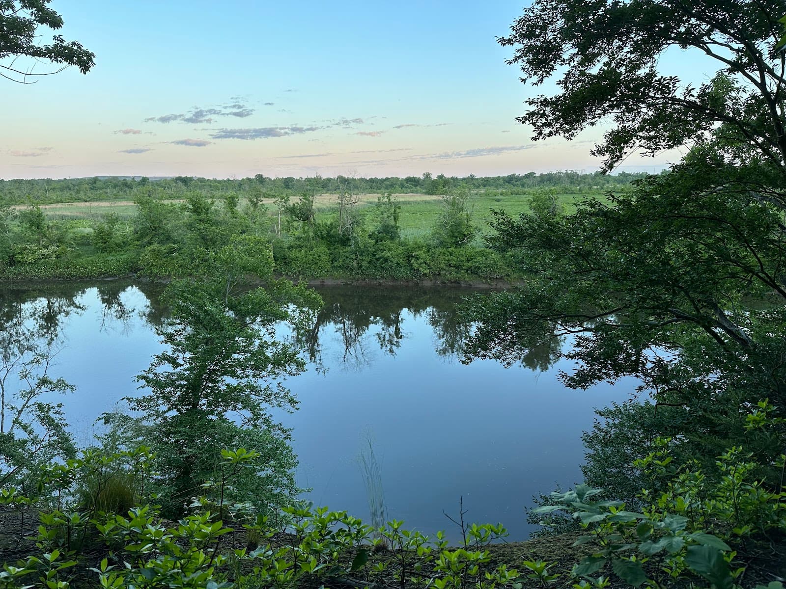 Abbott Marshlands - Image 1