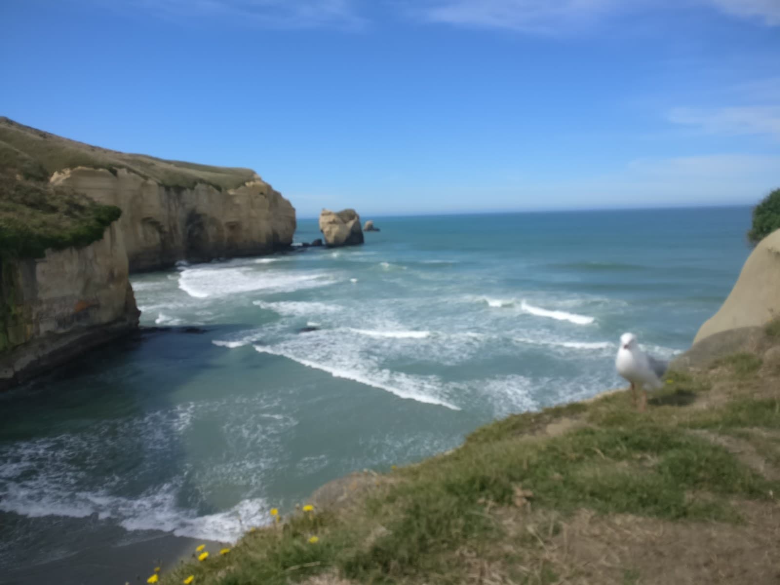 Tunnel Beach Dunedin - Image 1