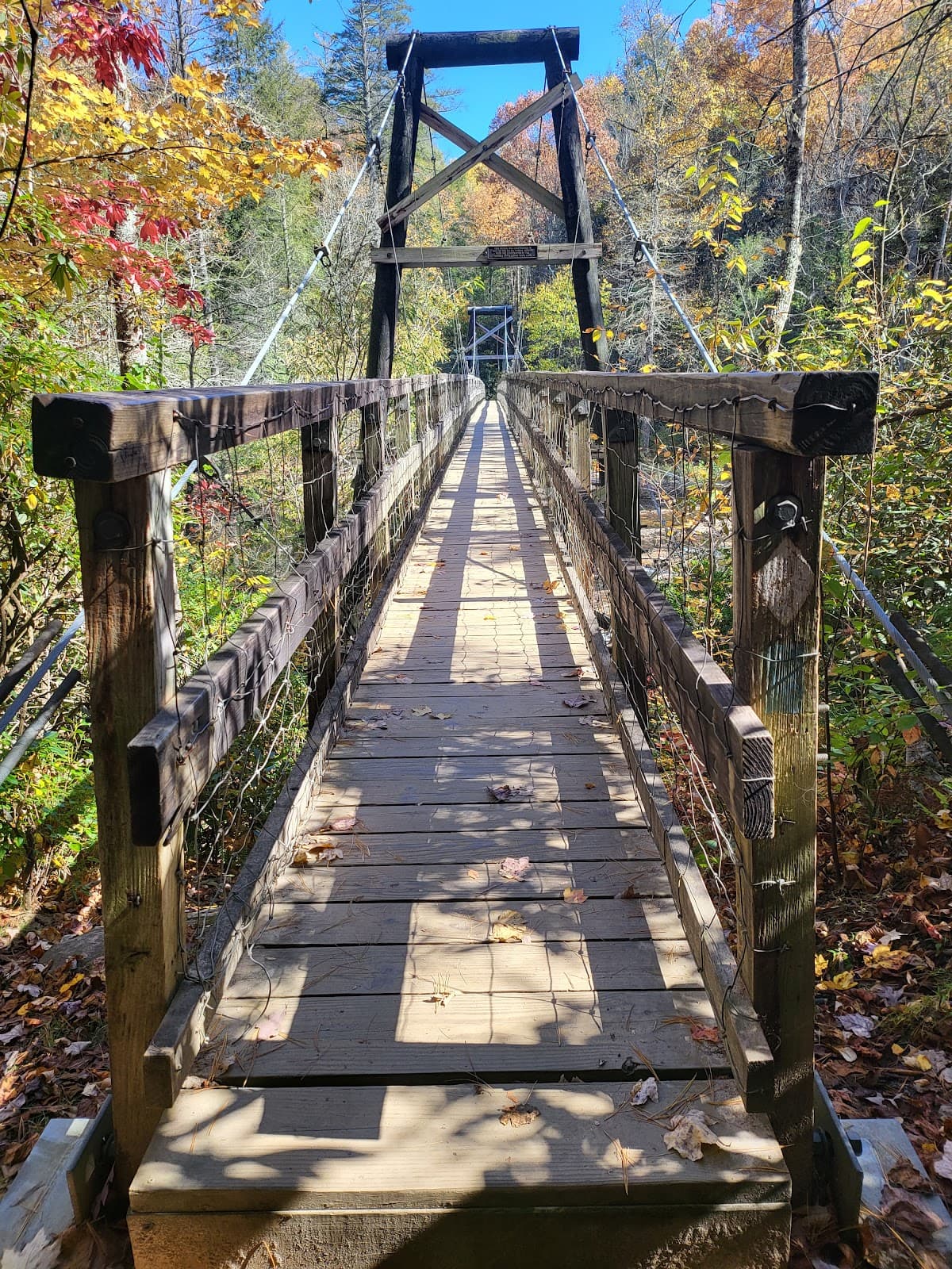 Toccoa River Swinging Bridge - Image 1