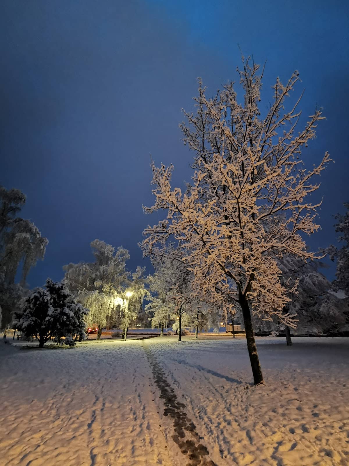 Green Spaces and Parks