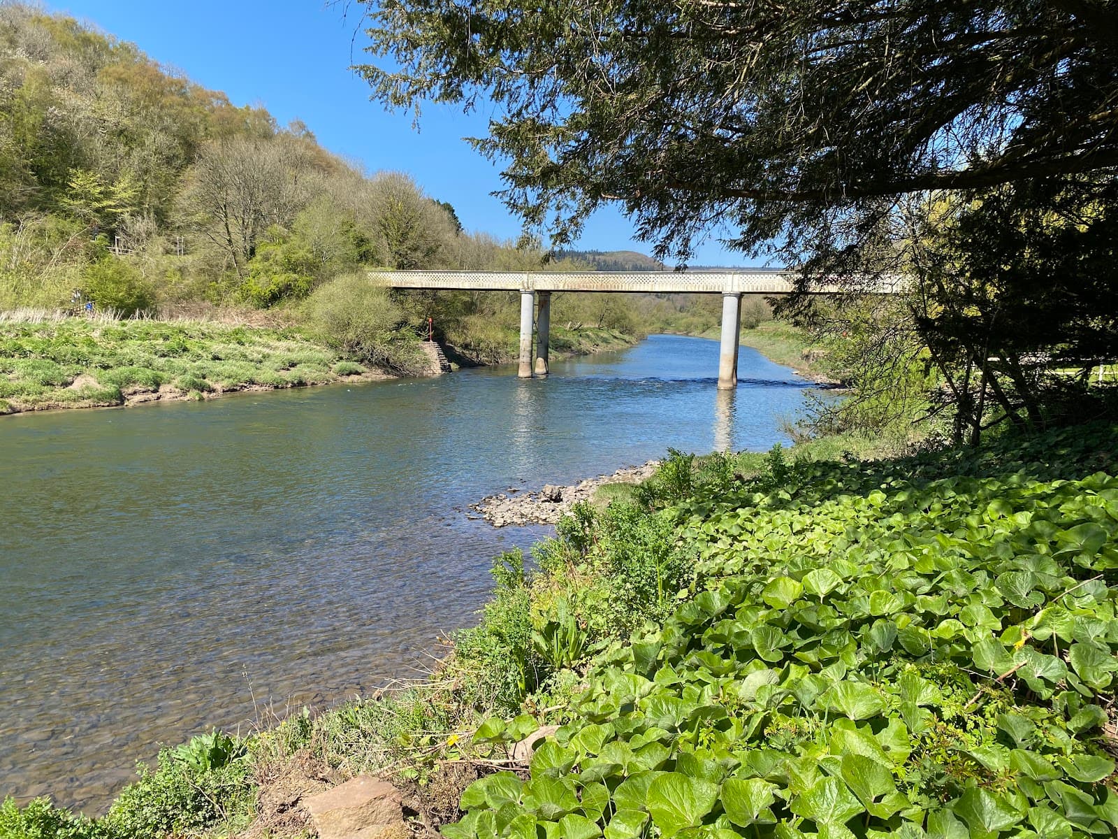 Brockweir Quay - Image 1