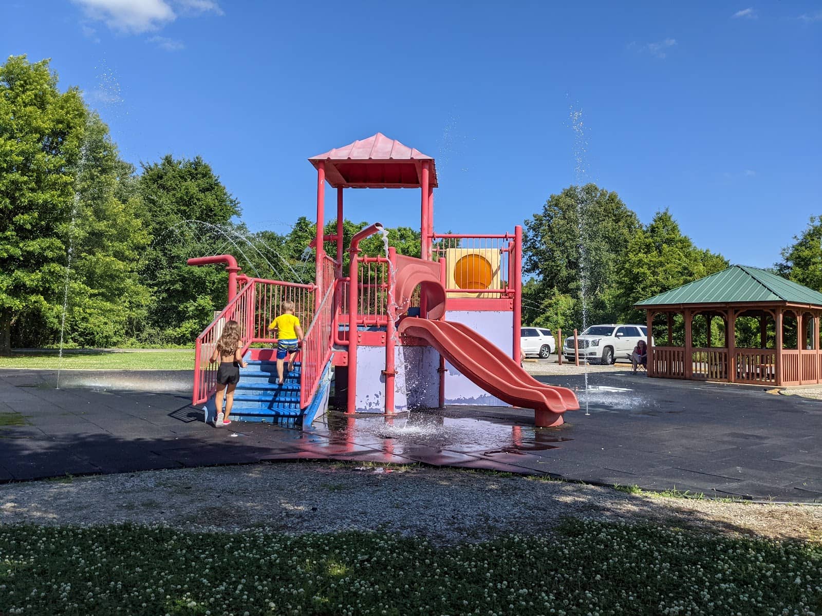 Camping Under the Stars