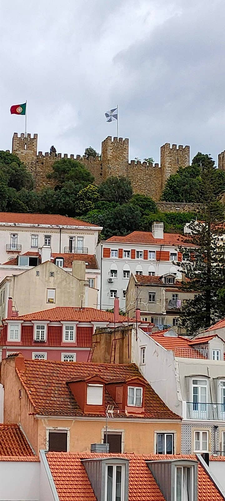Vertical photo
