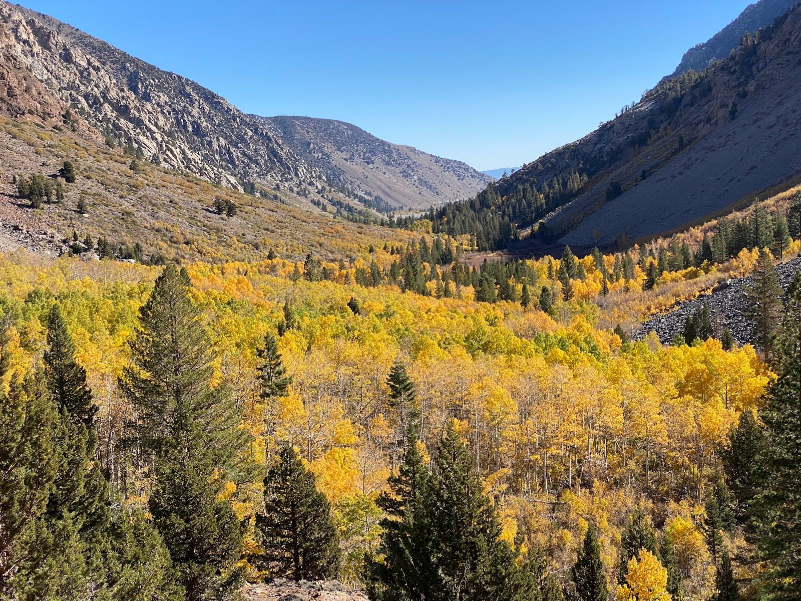 Lundy Canyon - Image 1