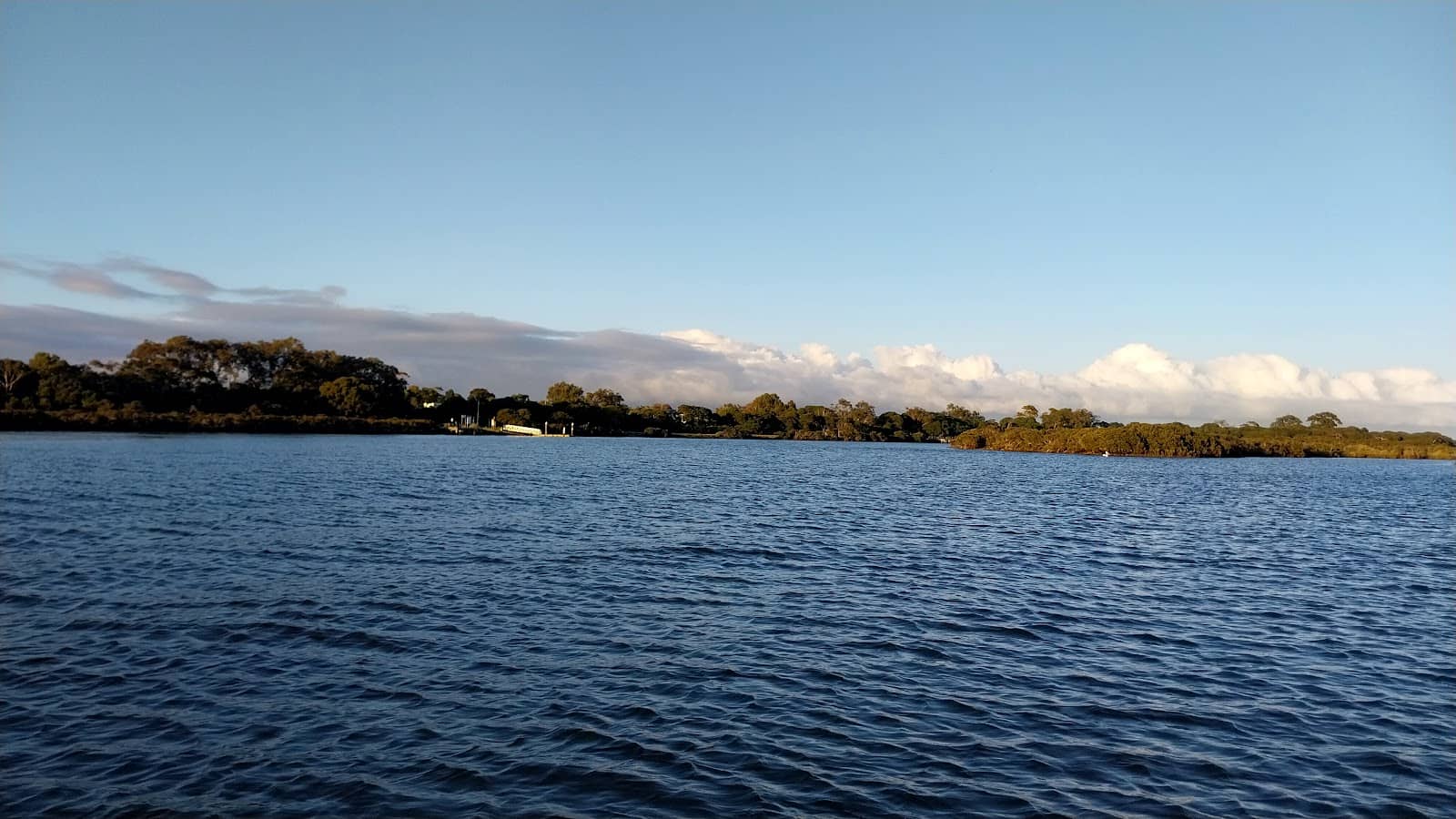 Tranquil Picnic Spots