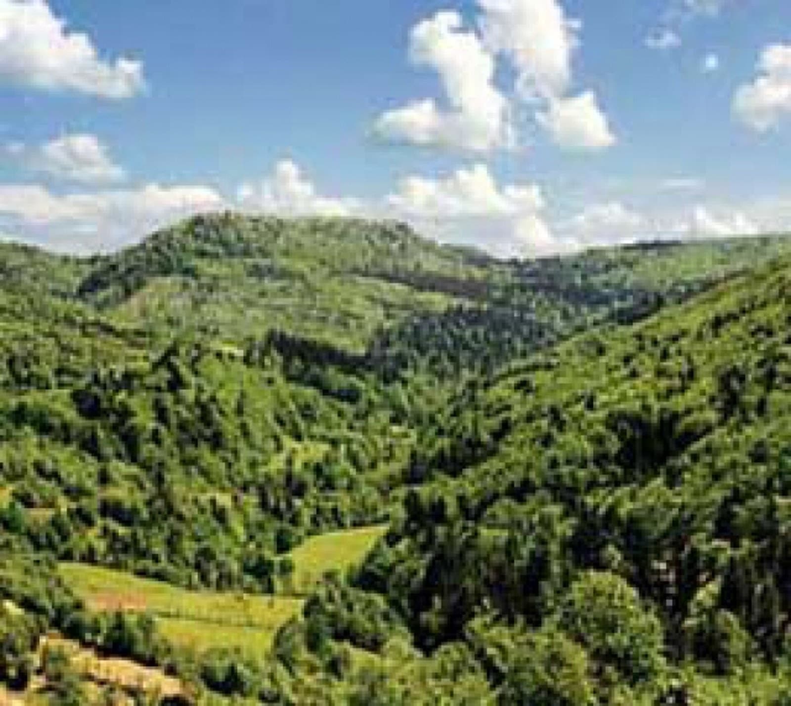 Uzhansky National Nature Park - Image 1