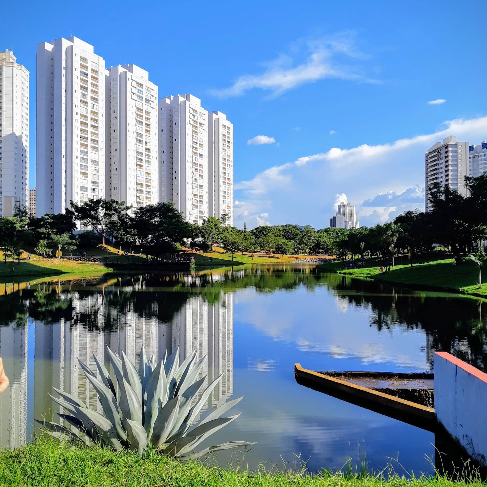 Tranquil Pond and Bridge
