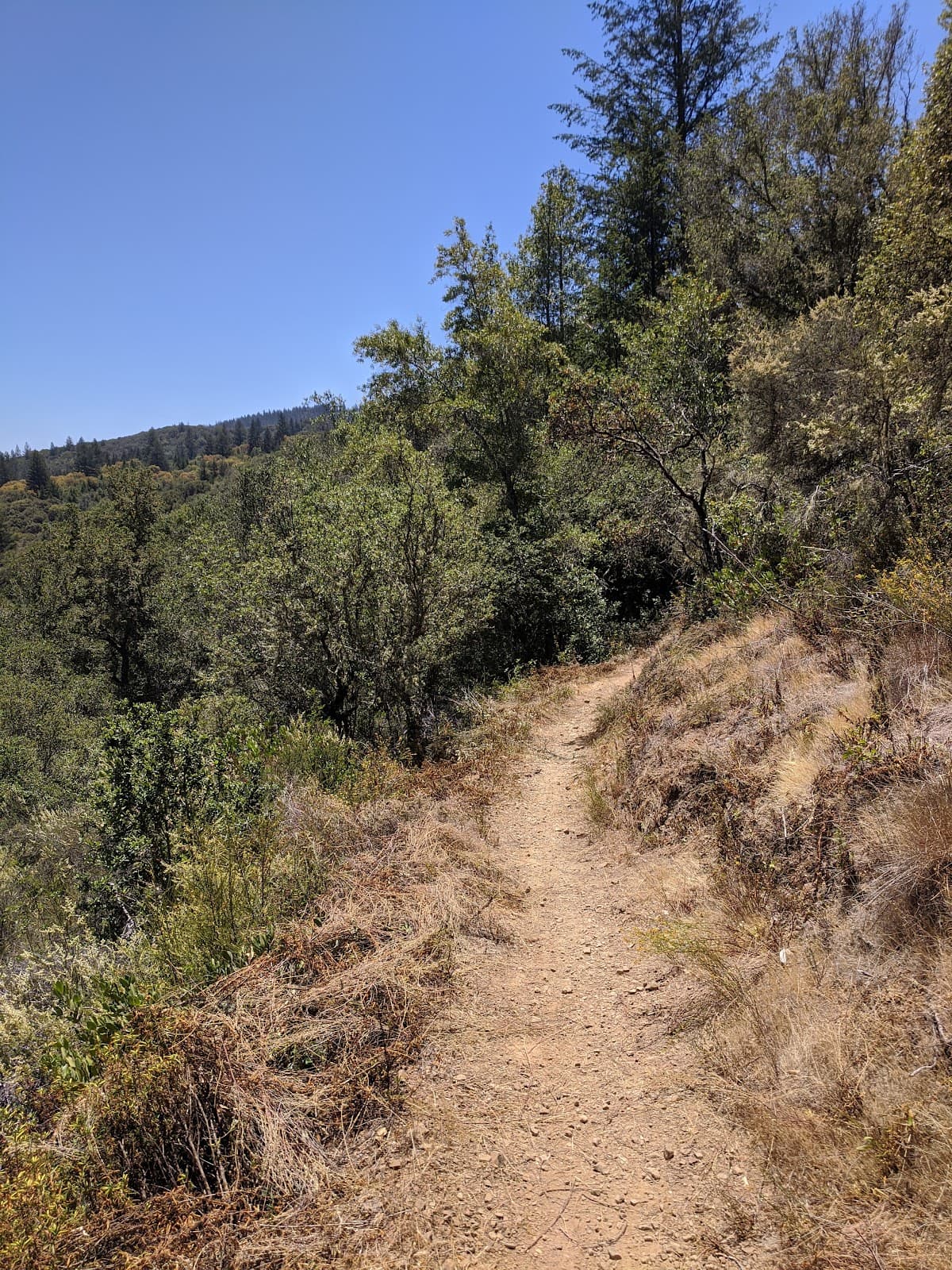 Las Posadas State Forest - Image 1