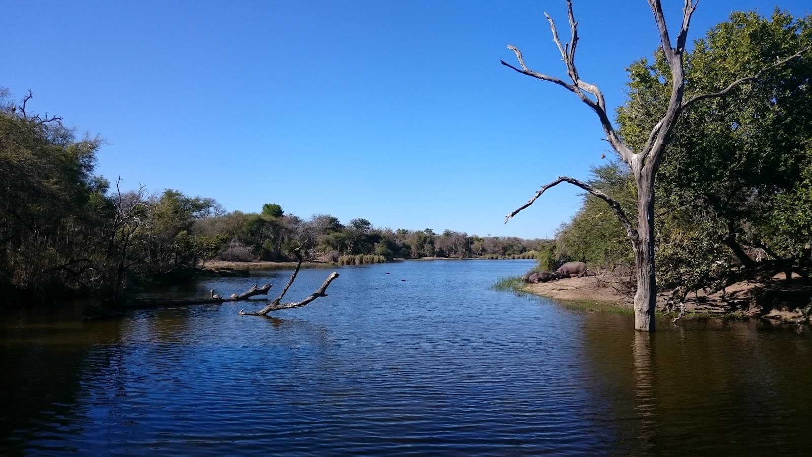 Lake Panic Kruger National Park - Image 1