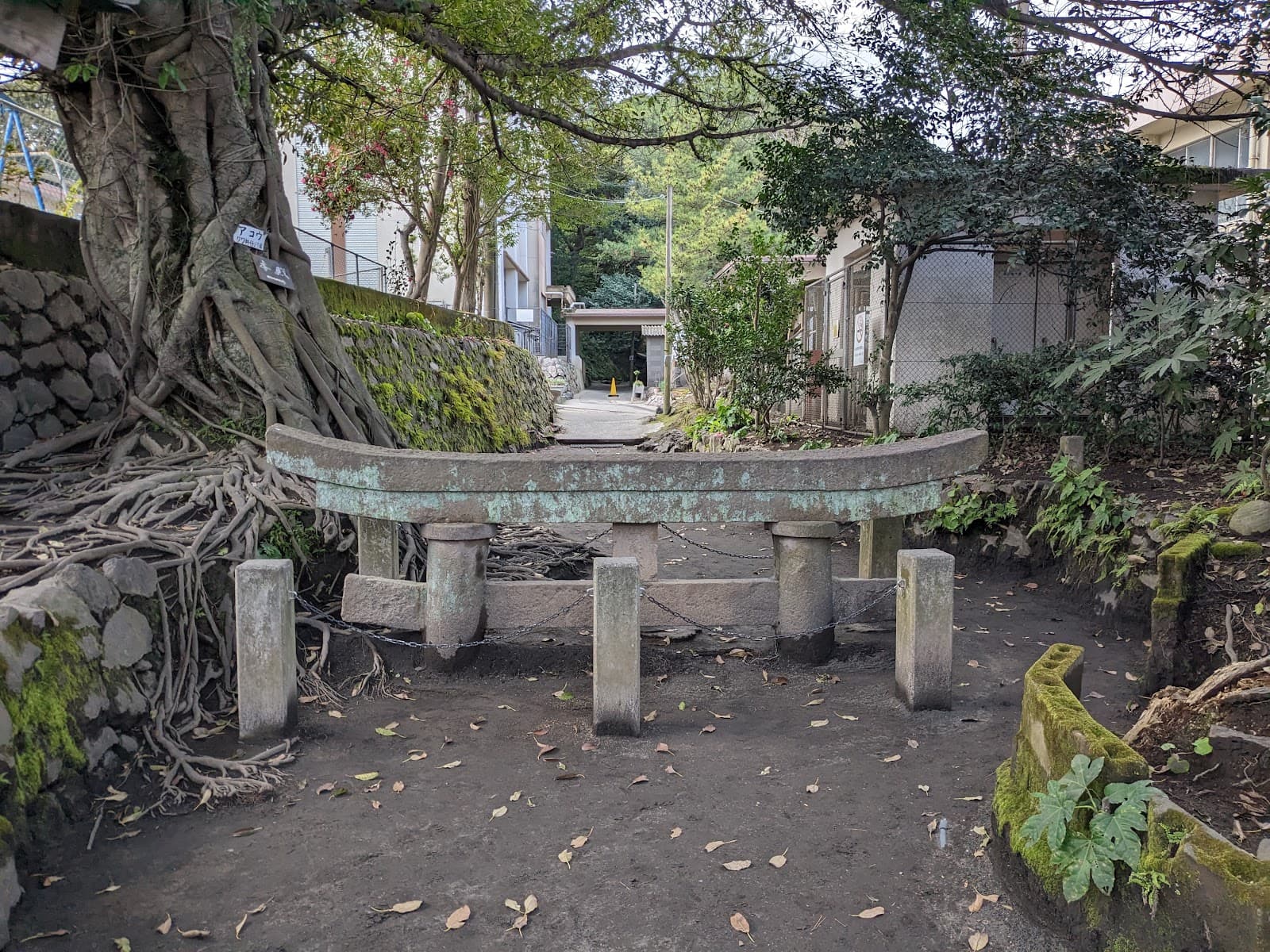 Kurokami Buried Torii - Image 1