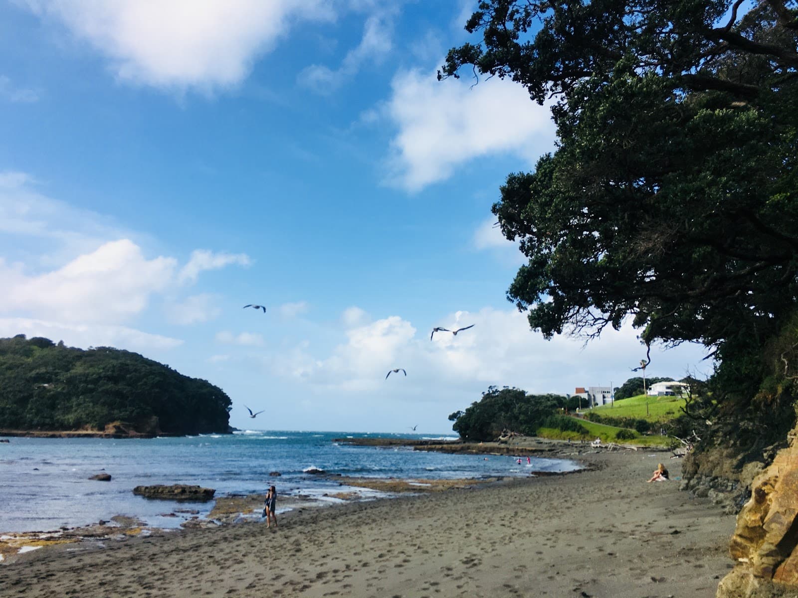 Goat Island Marine Reserve Auckland - Image 1