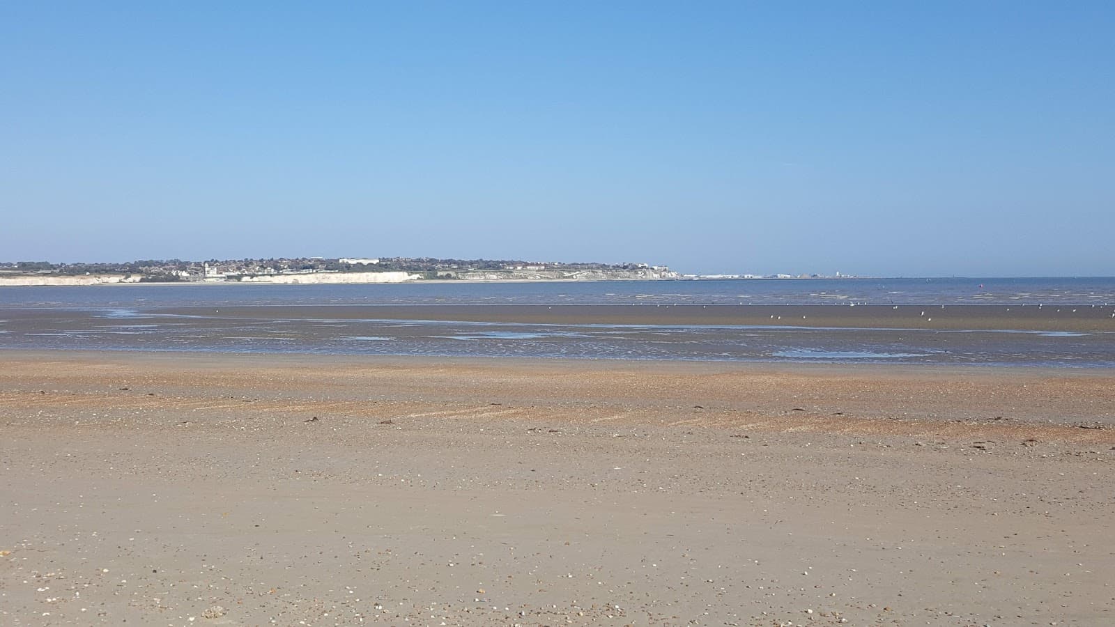 Sandwich & Pegwell Bay NNR - Image 1