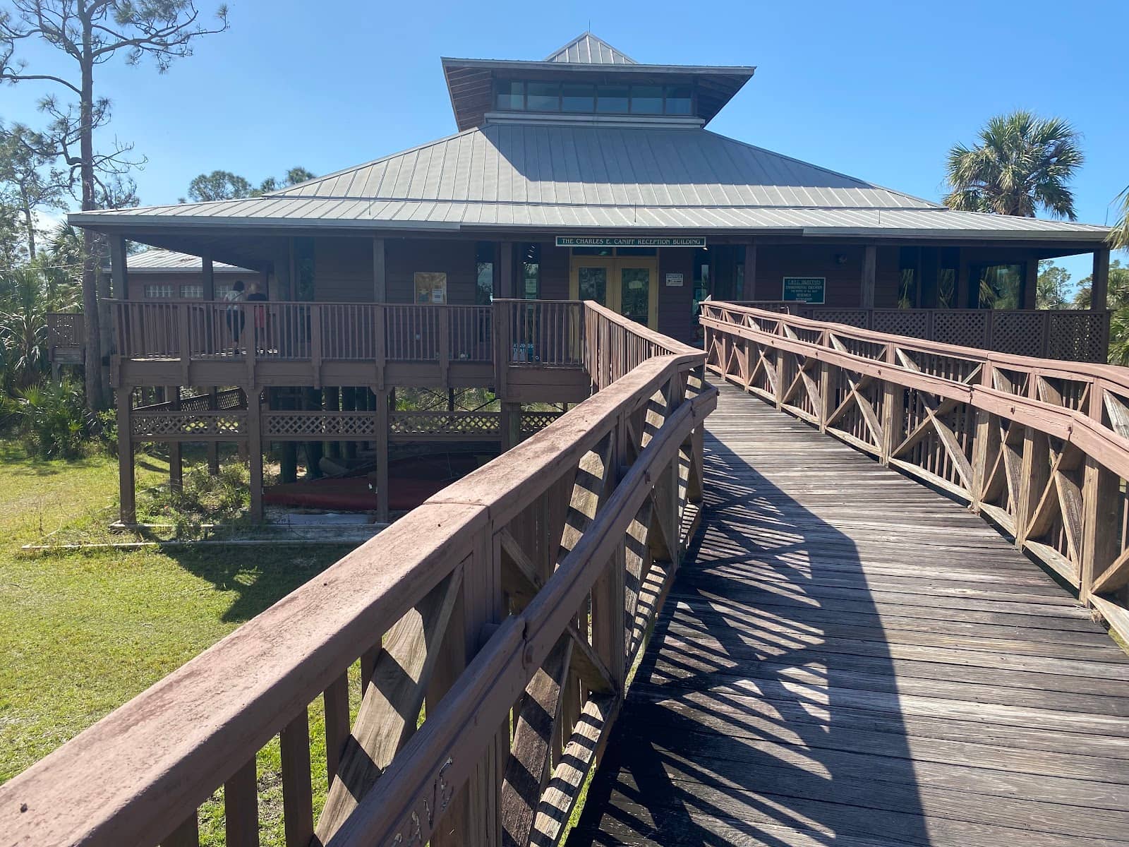 Pine Flatwoods Trail