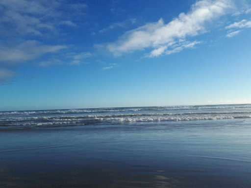 Coastal Exploration
