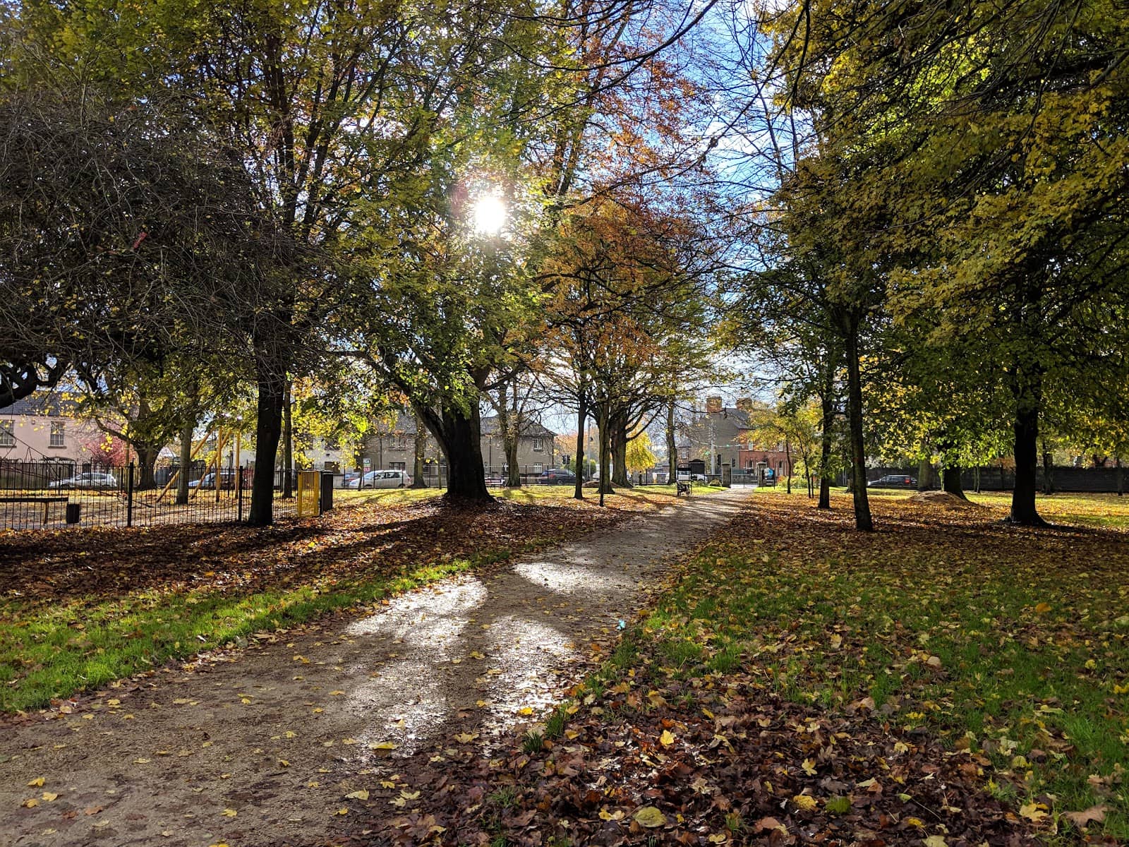 Dog-Friendly Open Spaces