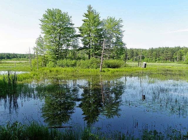 Fairy Village & Castles