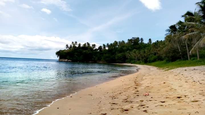 Pinamuntugan Island - Image 1