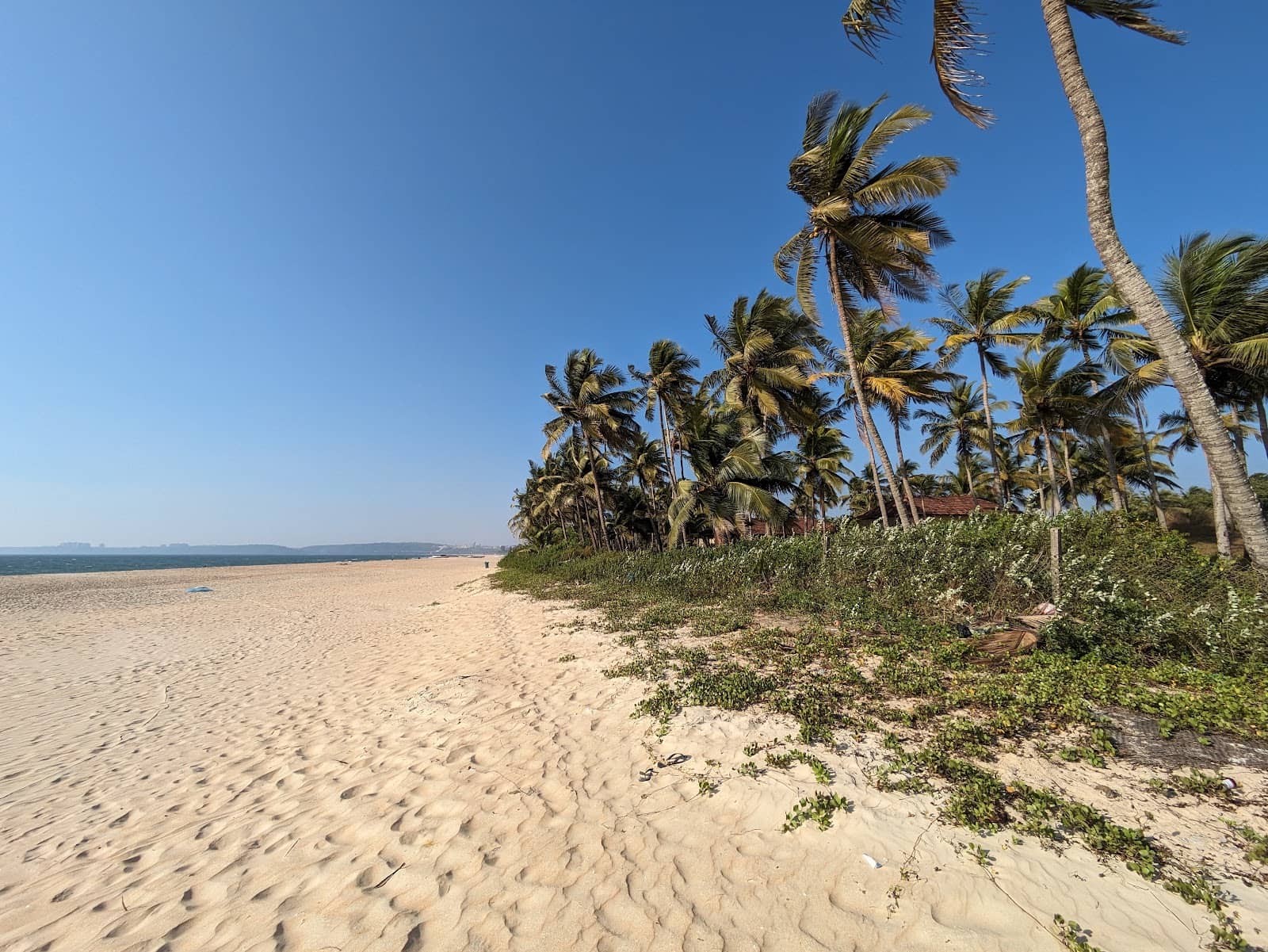 Tranquil Sands