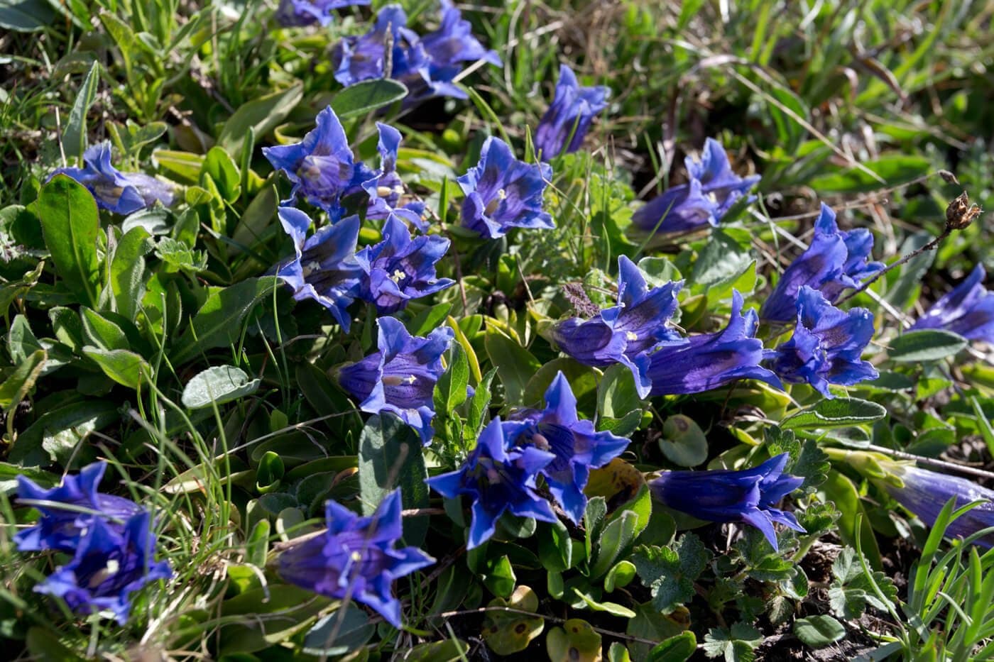 The Burren Centre (Kilfenora) - Image 1